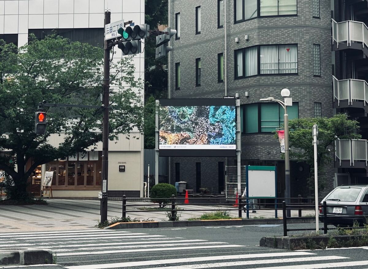 すき間の美術館